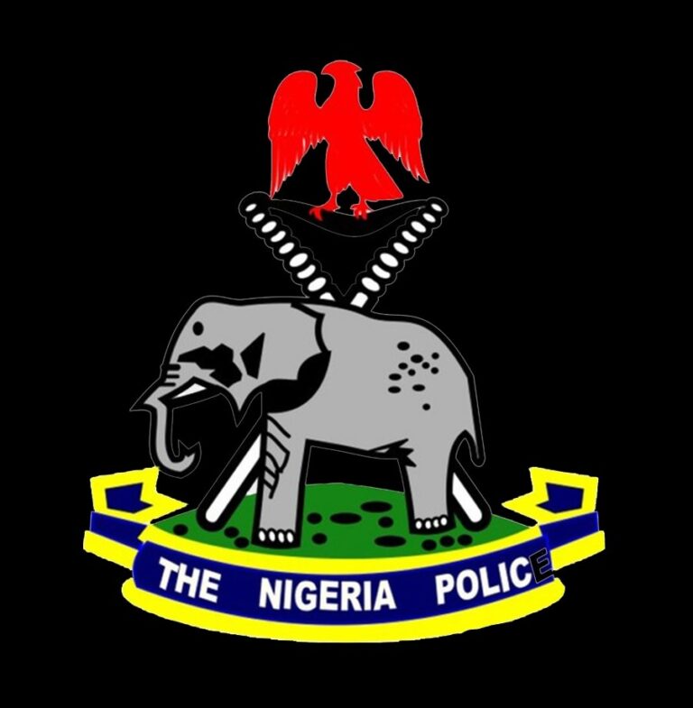 Police launch hunters for suspected robbers who kidnapped a 27-year-old housewife in Kano